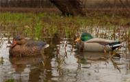قوانین شکار اردک با حیوانات پر شده: انتخاب طعمه و تاکتیک